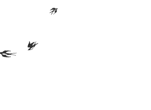 a gif of three simply drawn birds swirling around as if they're flying